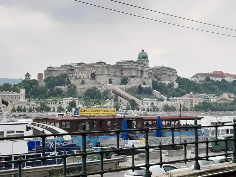 Buda Castle above the Danube