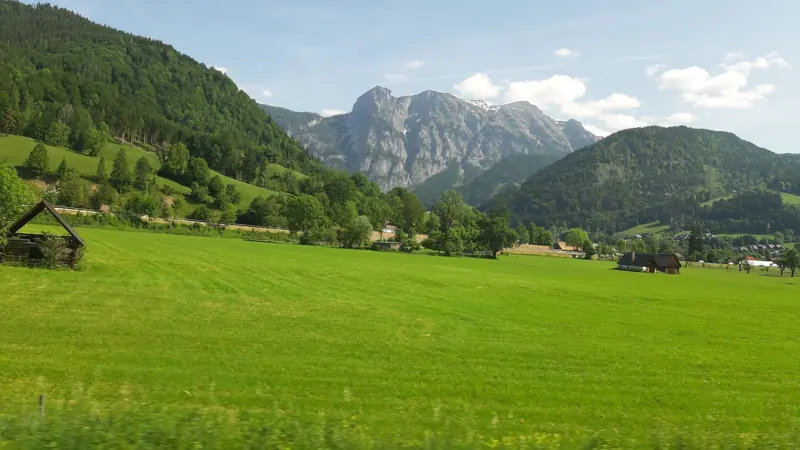 Alpine meadow in Austria