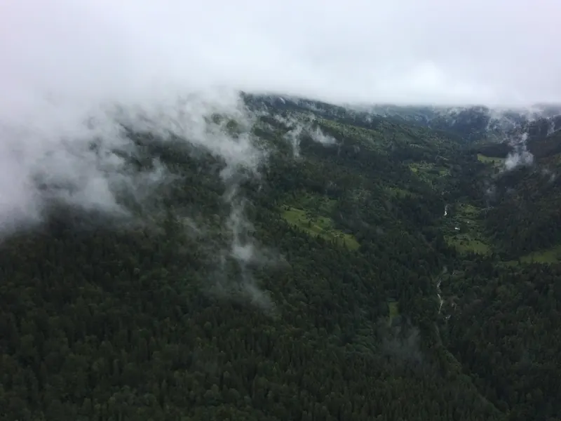 Low cloud over Carpathian forest