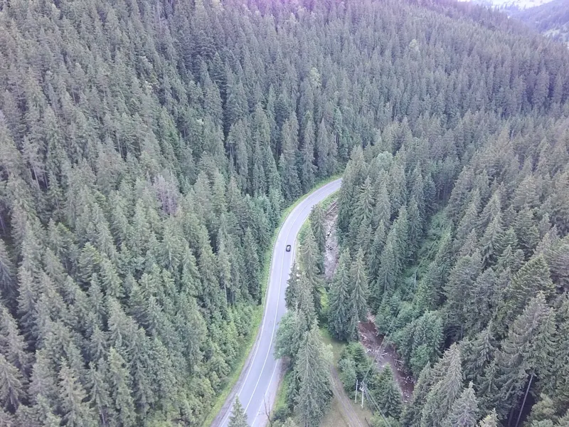 Forest road through the Carpathians from above