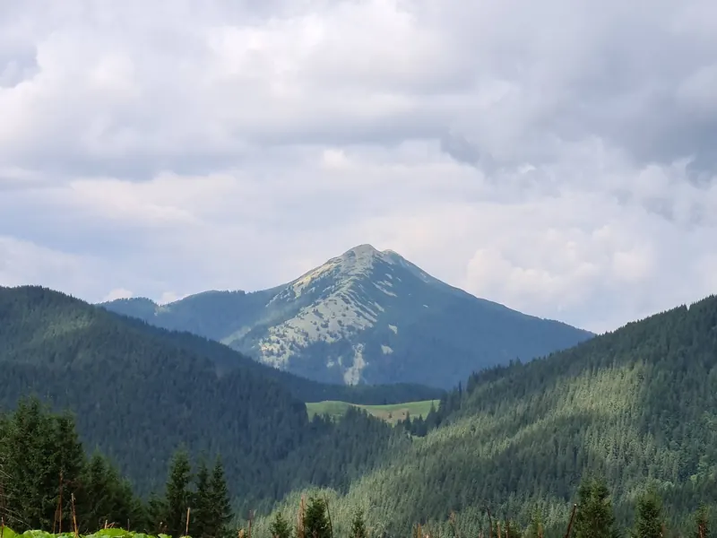 Carpathian peak above a forested valley