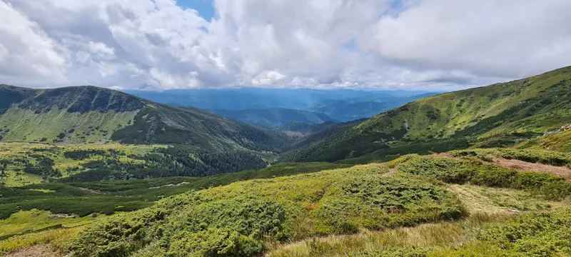 Green slopes of the Chornohora ridge