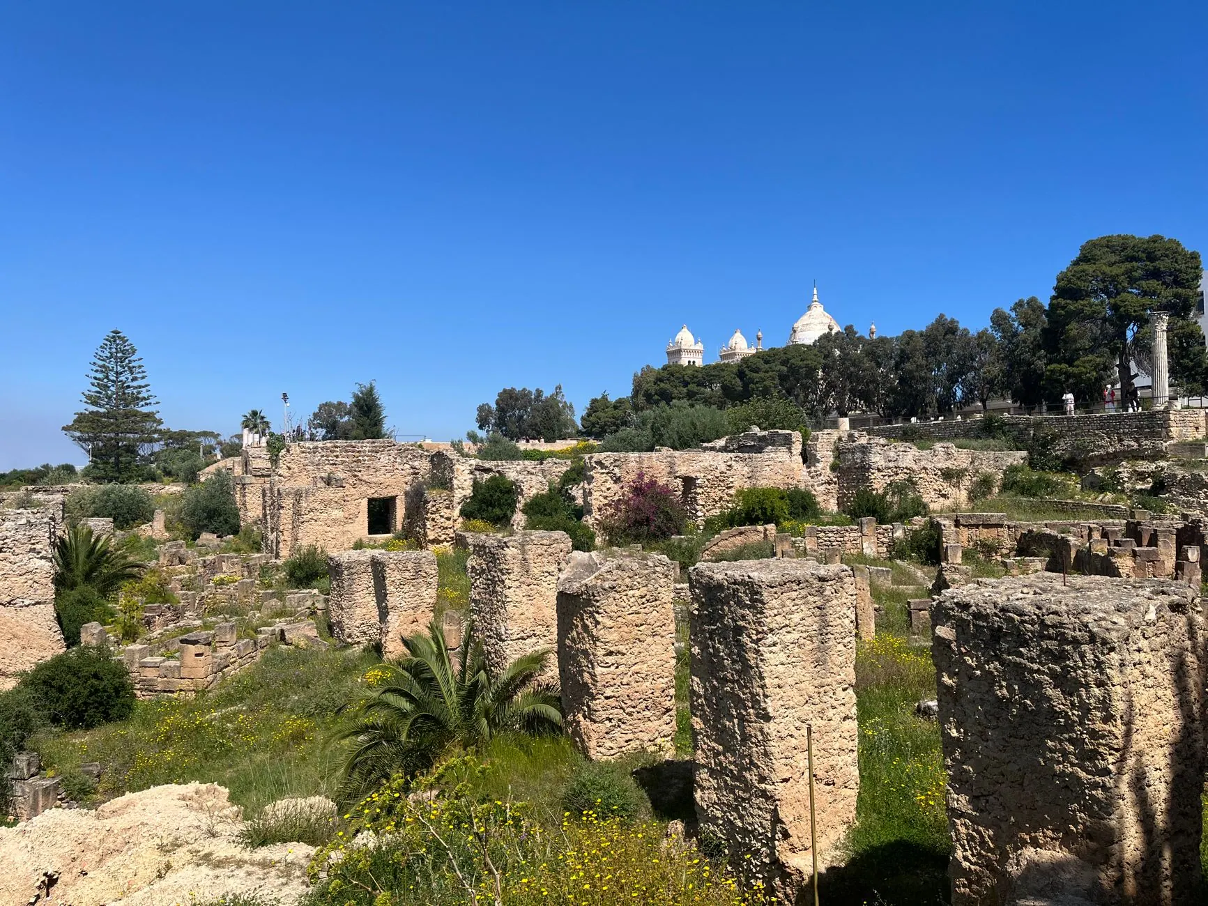 Roman ruins of Carthage in Tunisia
