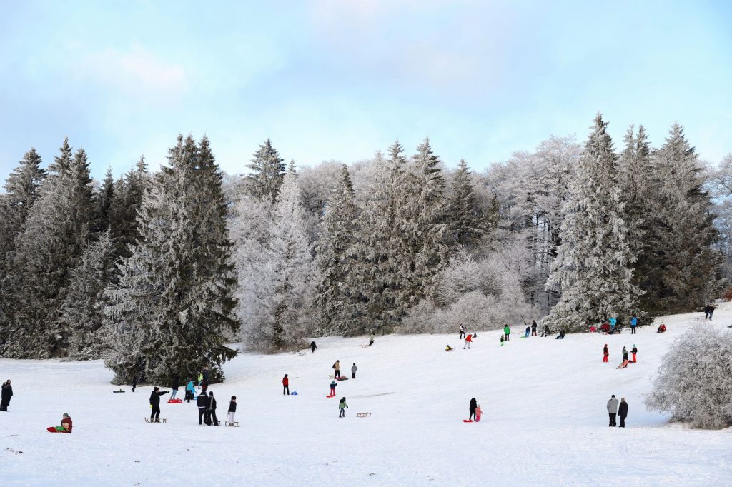 Kids and adults having fun sledding on a snowy hill amidst a wintery forest setting.