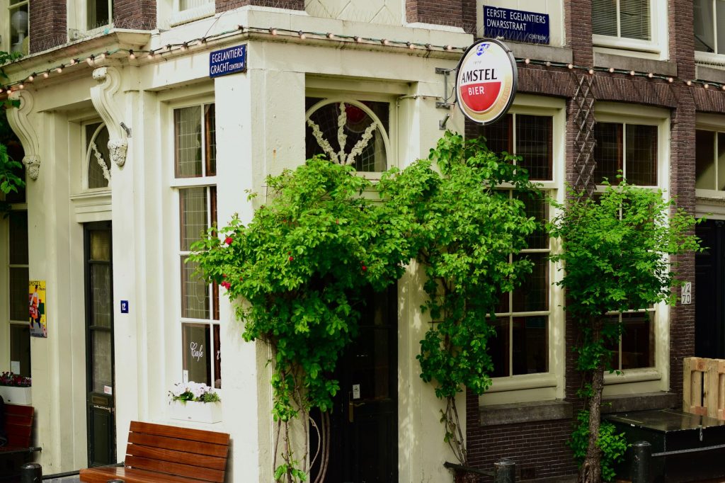 A cozy corner cafe in Amsterdam with lush greenery on a sunny day.