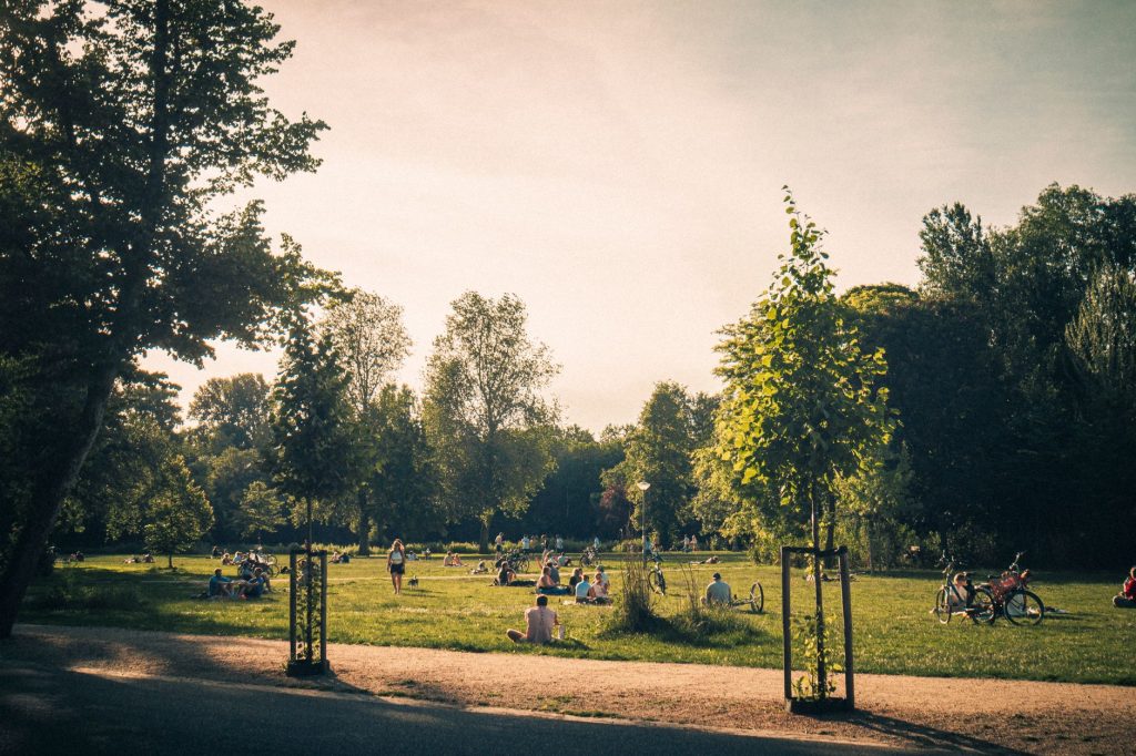People enjoying a sunny day in Amsterdam's Vondelpark, surrounded by lush greenery.