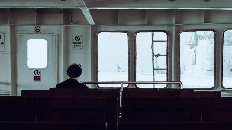 Traveller looking out of a window