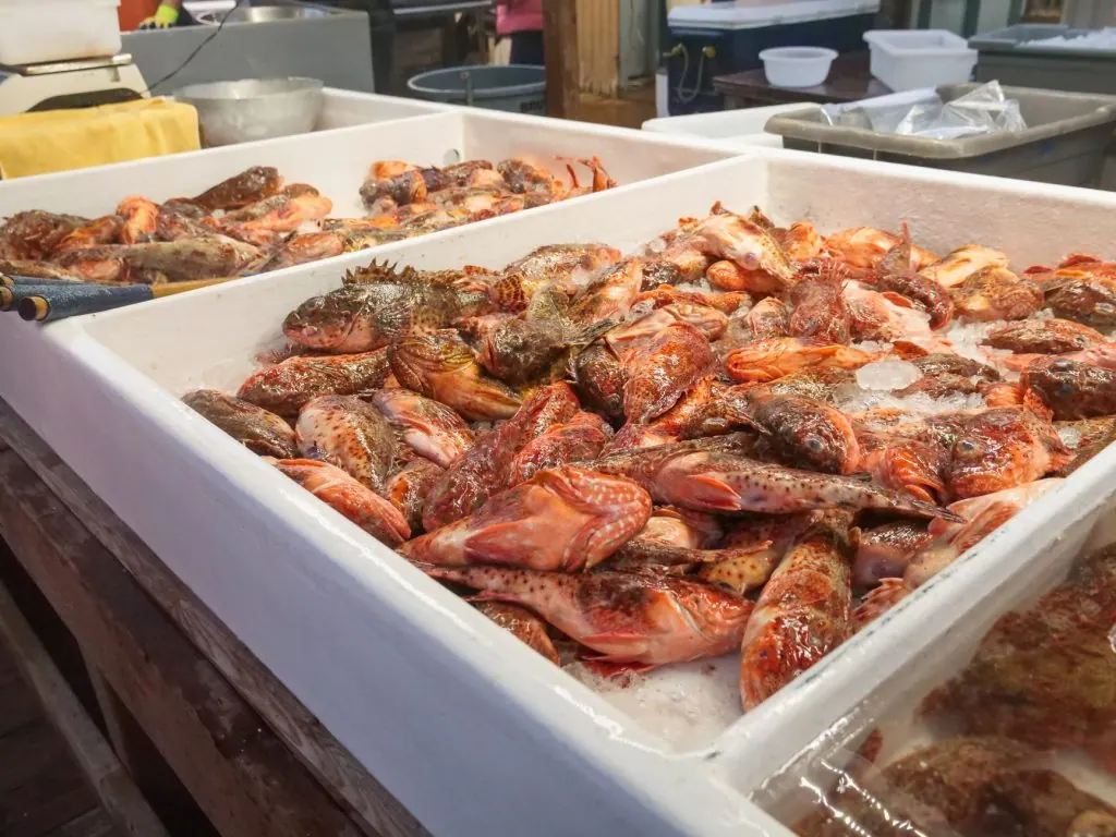 Fresh fish displayed on ice at a bustling seafood market showcasing a variety of species for sale.