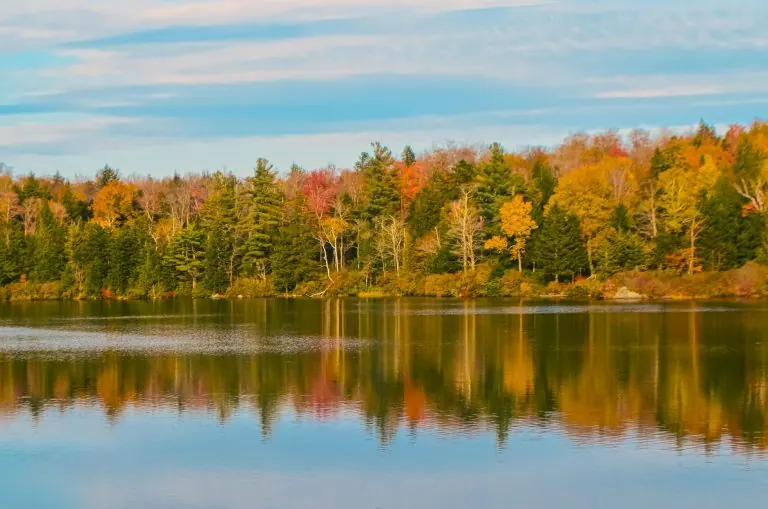 Autumn colours in New England