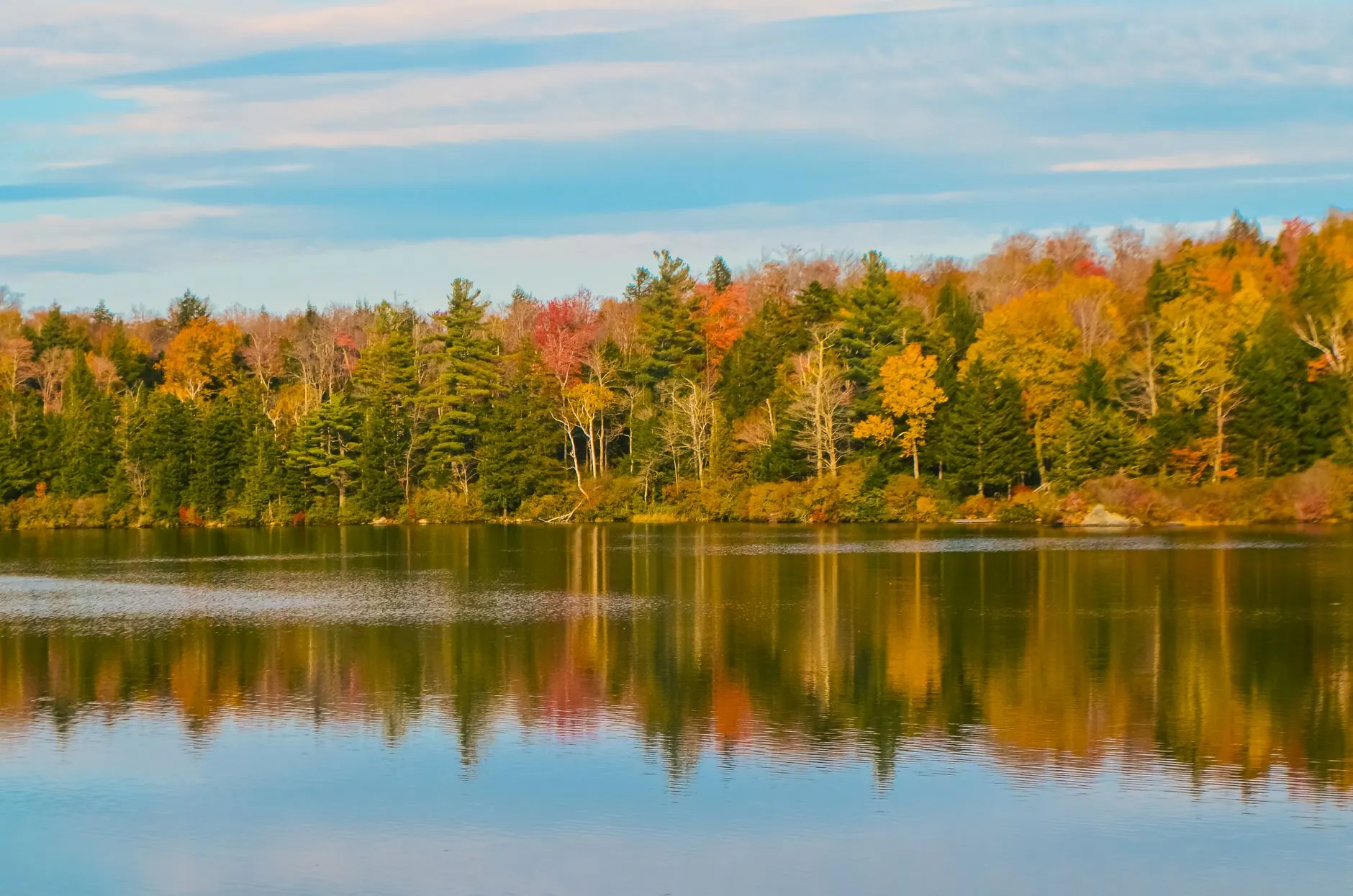 Autumn colours in New England