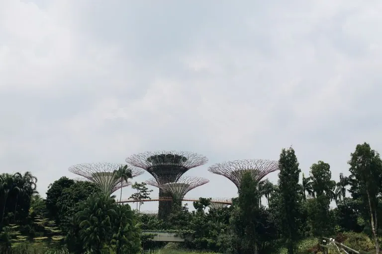 Supertree Grove at Gardens by the Bay, Singapore