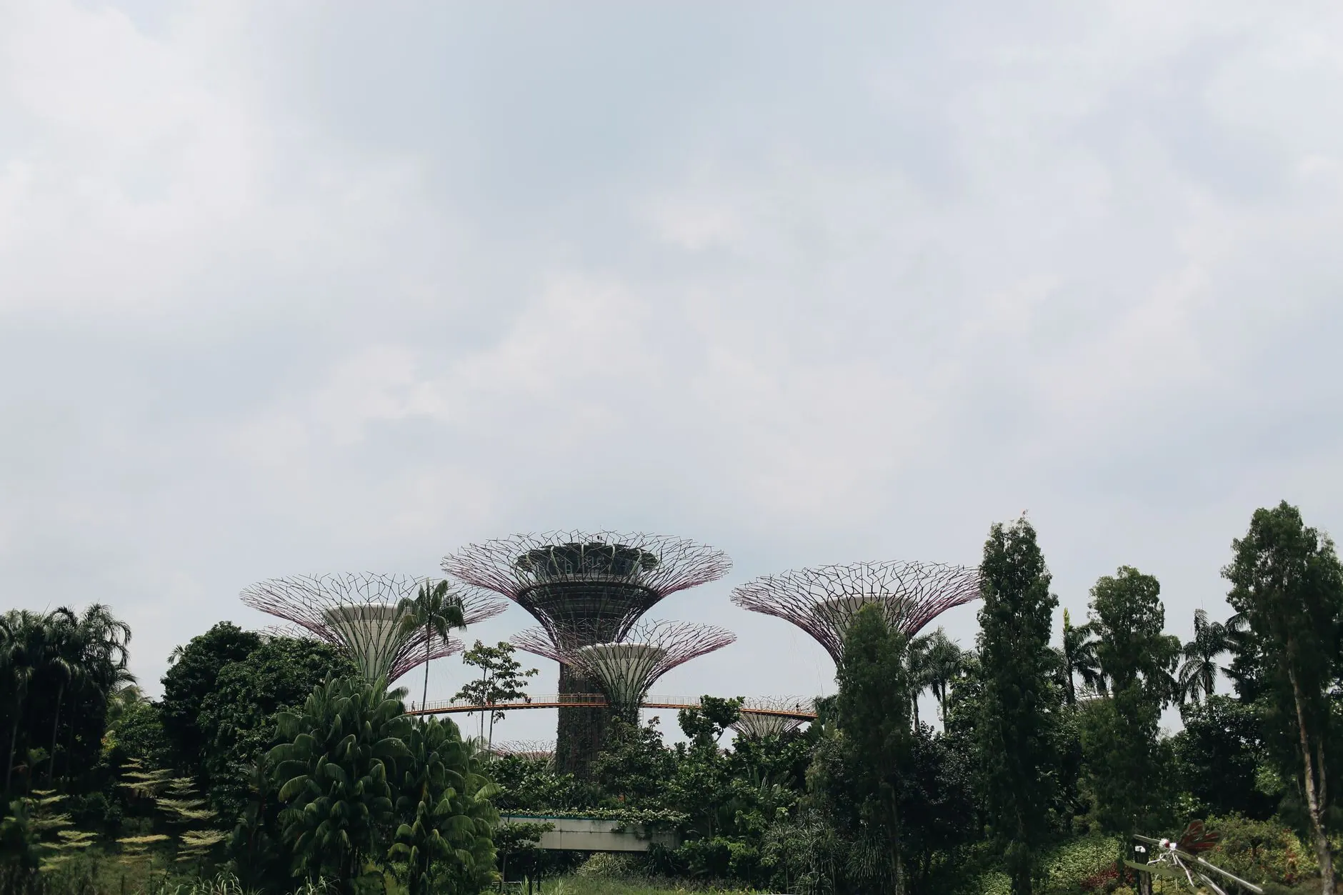 Supertree Grove at Gardens by the Bay, Singapore