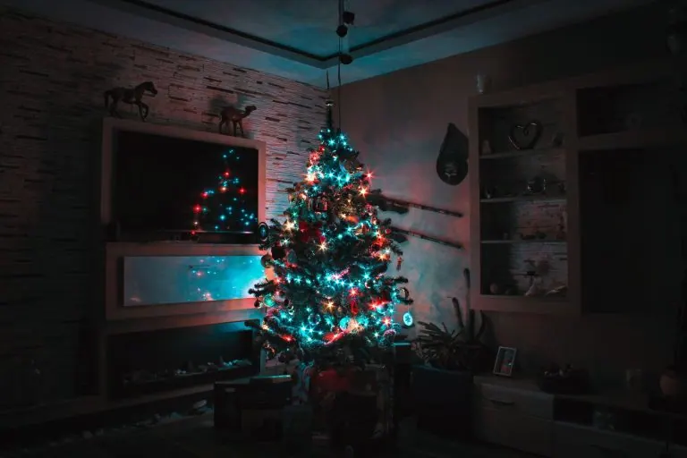 Christmas tree in a living room