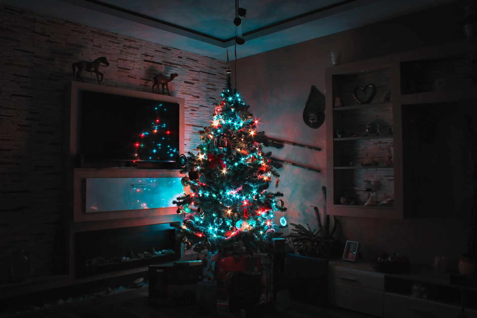 Christmas tree in a living room