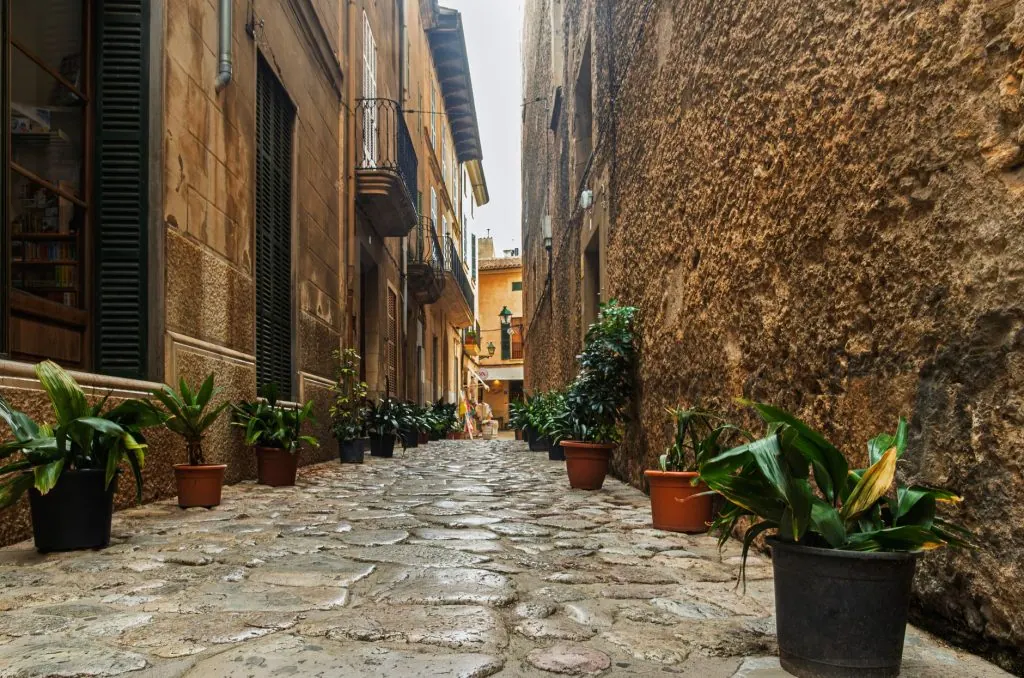 Quaint European street lined with potted plants in a historic setting.