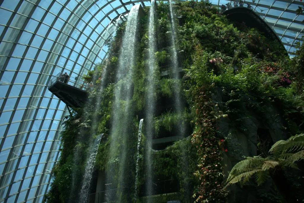 Explore the lush greenery and cascading waterfall at Singapore's iconic Cloud Forest domes.