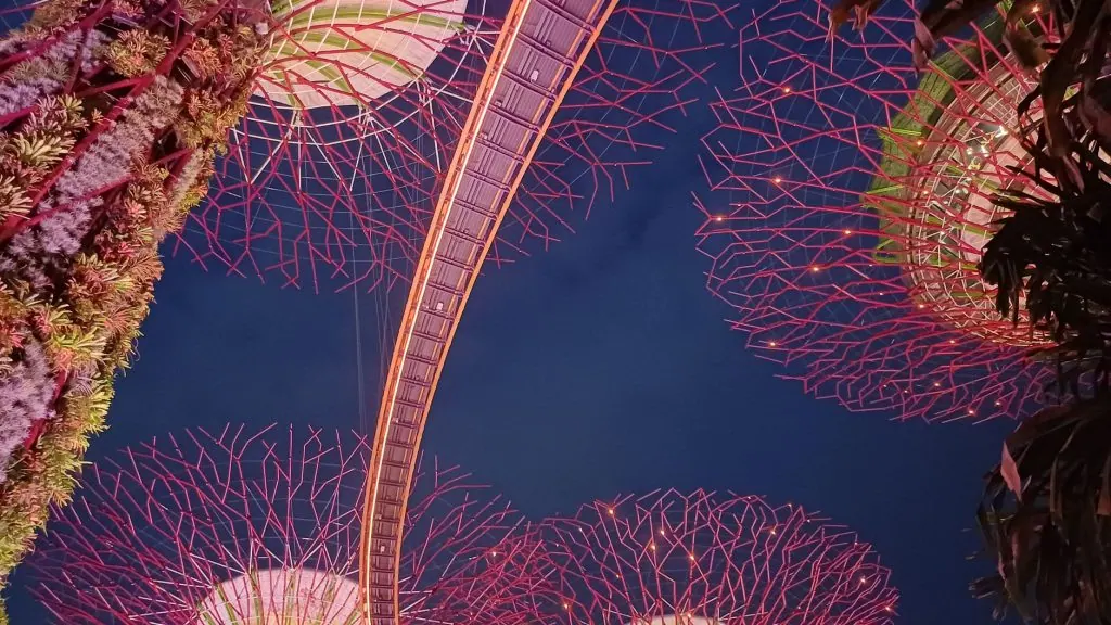 Captivating view of the Supertree Grove illuminated at night in Singapore.
