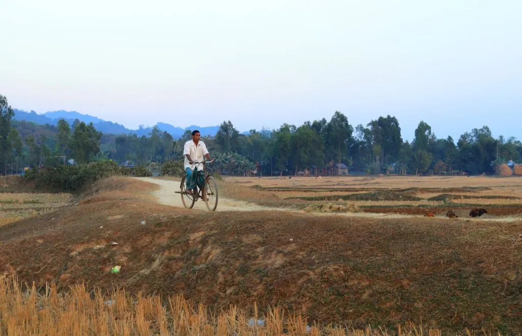 A man rides a bicycle along a tranquil rural path in a village during the evening, surrounded by fields and trees.