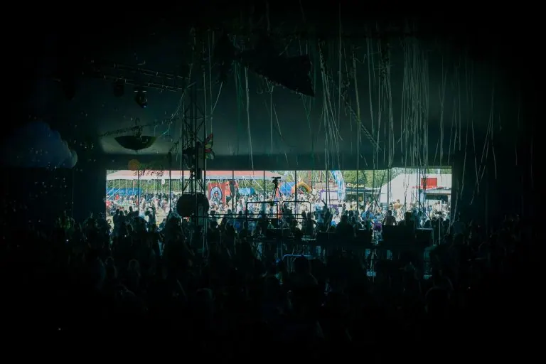 Crowd at an outdoor music festival