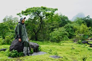 Green hills near Mumbai during the monsoon