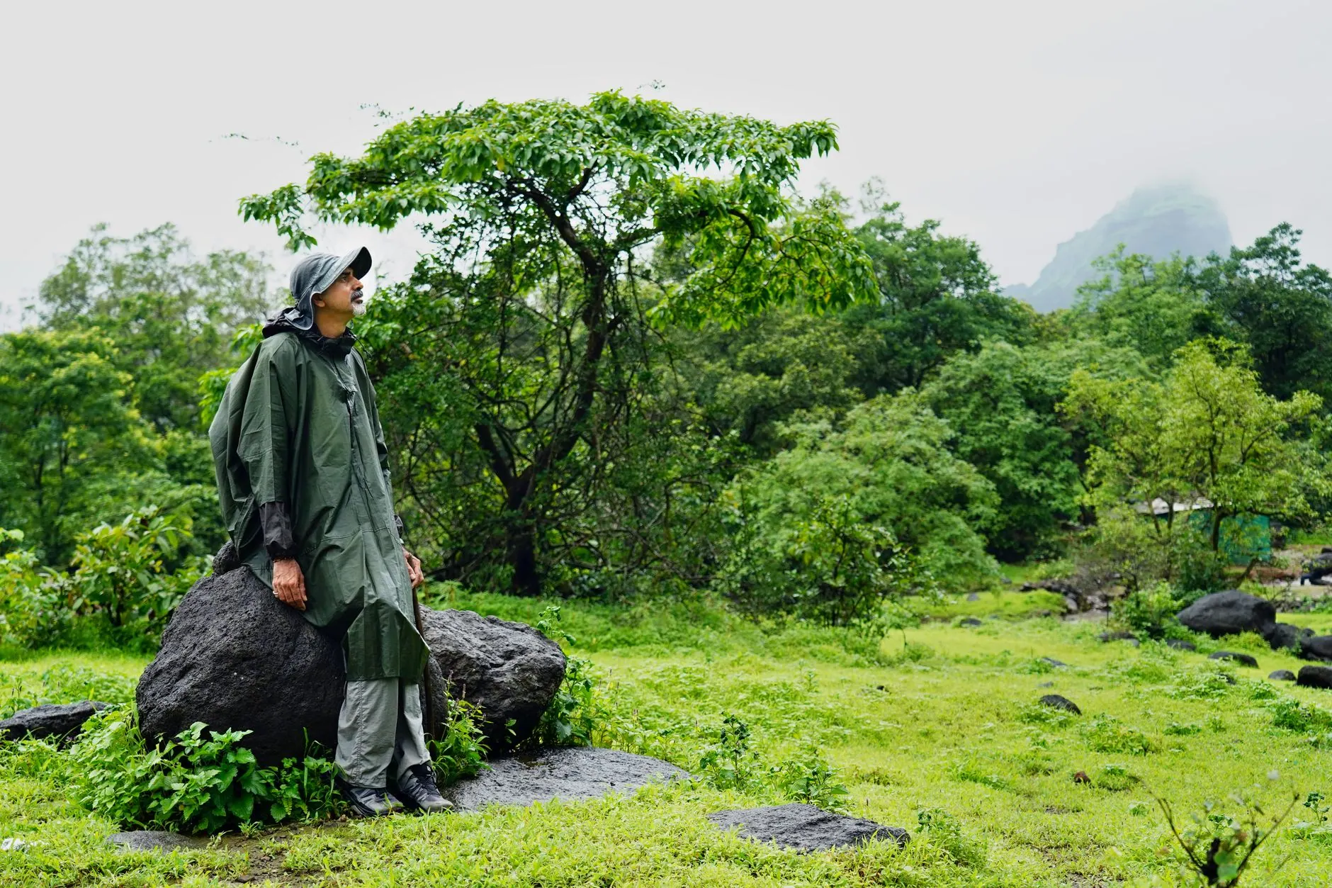 Green hills near Mumbai during the monsoon