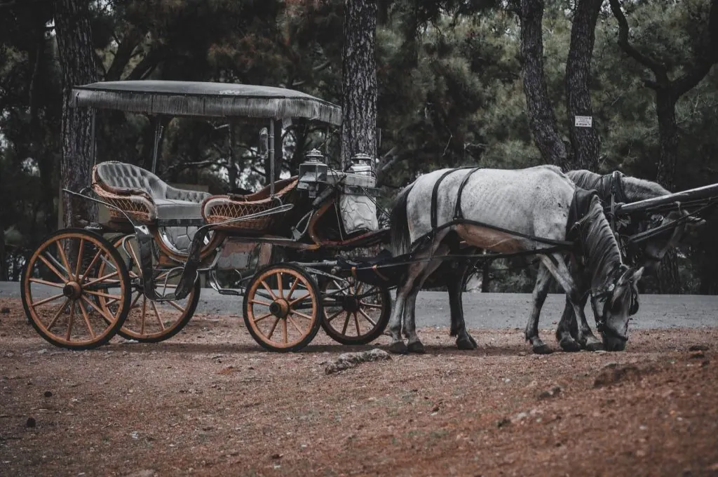 Two horses pulling a vintage carriage on a dirt path surrounded by trees in a forest.