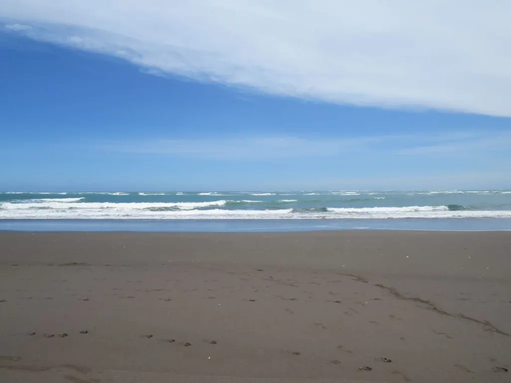 Serene sandy beach with gentle ocean waves and a vast blue sky on a sunny day.