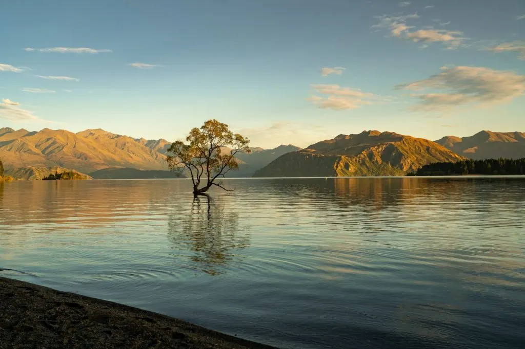 Captivating view of Lake Wānaka with the lone tree and mountains at sunset.